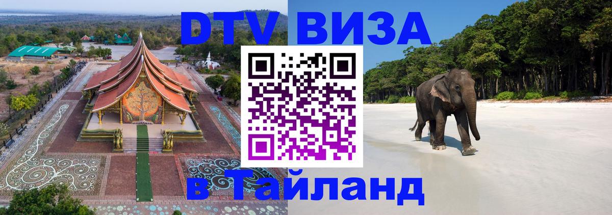 Оформление DTV визы под ключ: стоимость и тарифы, только загранпаспорт - 20.11.2025 